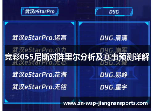 竞彩055尼斯对阵里尔分析及赛事预测详解
